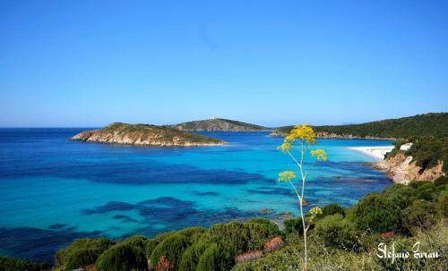 Casa Regina Margherita