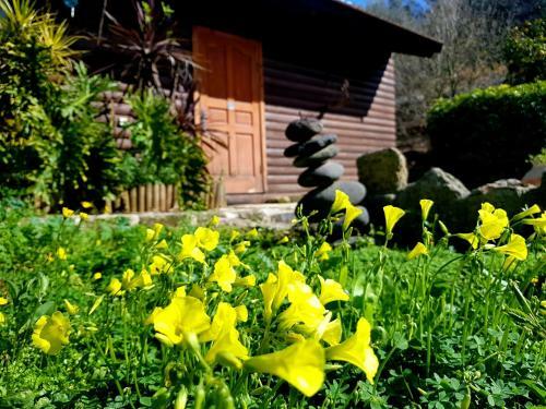 Lodge A Place To Dream