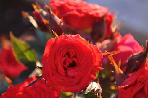 Apartamento B&B Terra Del Sole