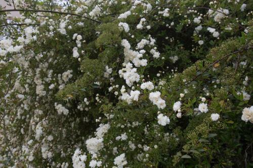 Apartamento B&B Terra Del Sole