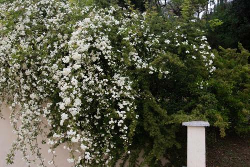 Apartamento B&B Terra Del Sole