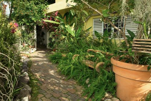 Hostal Ever Blooming Orchid Cottage