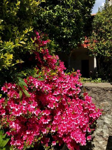 Agroturismo Casamariuccia