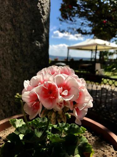Agroturismo Casamariuccia