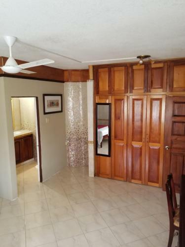 Wizzy Apartment