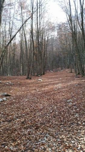 Oasi Del Sangro