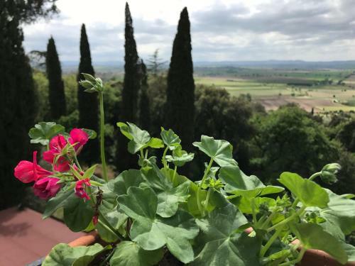 Agroturismo Villa Schiatti