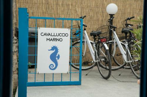 Apartamento Cavalluccio Marino