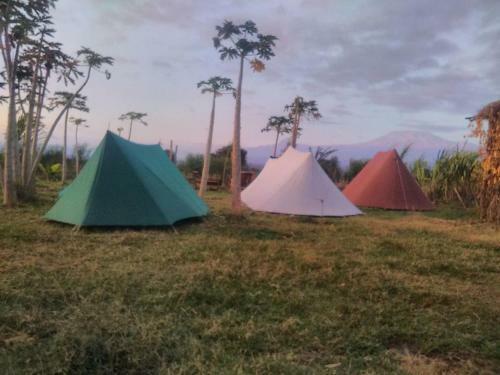 Lodge We4kenya Guesthouses