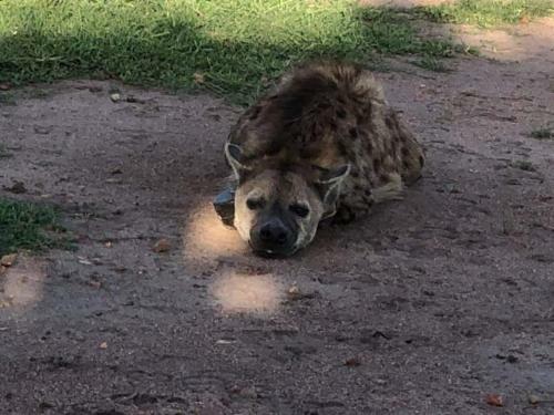 Lodge We4kenya Guesthouses