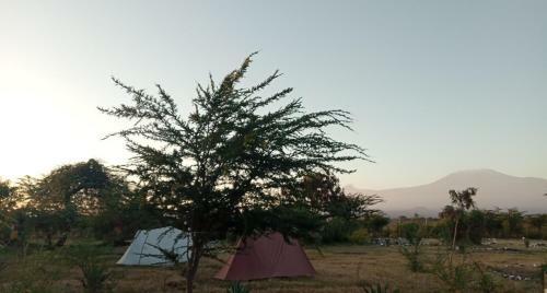 Lodge We4kenya Guesthouses