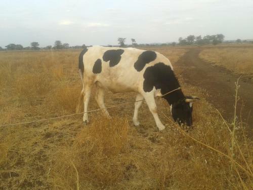 Lodge We4kenya Guesthouses