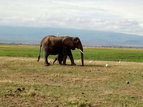 Lodge We4kenya Guesthouses