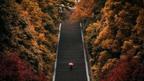 Hostal Momoyama No Yado