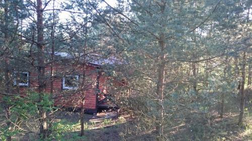 Poilsiaviete Zydroji Liepsna
