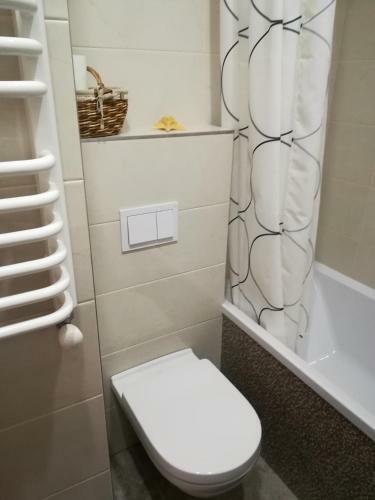 Old Town Apartment Vingriu