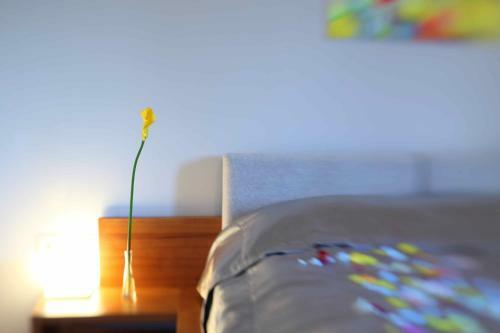 Boutique Hotel Smil?i? Vilos