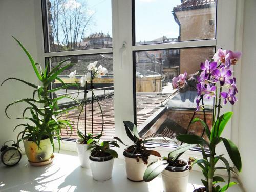 Apartamento Provence Home