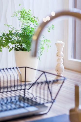 Apartments Satva