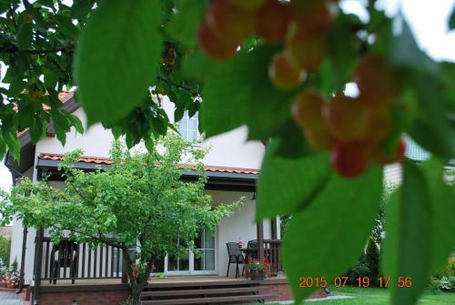 Villa Vila Joana