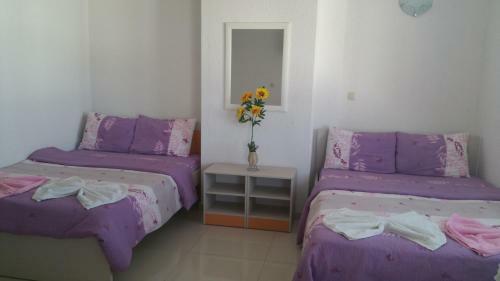 Apartments Antigona