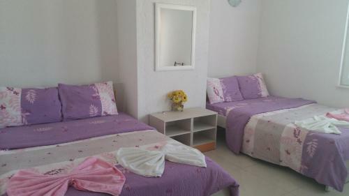 Apartments Antigona