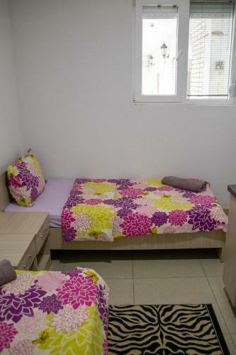 Apartments Gjoce
