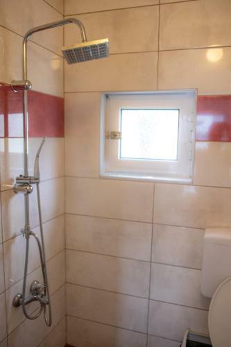 Apartments Gjoce