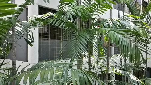 The Garden Apartment At Bangsar
