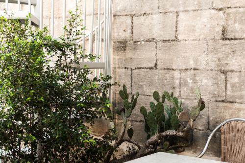 Bed & Breakfast Cittadella Boutique Living