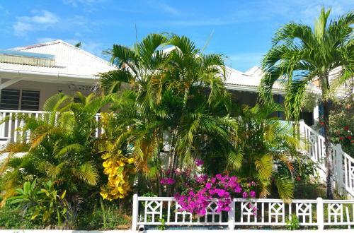 Antilles Liberte