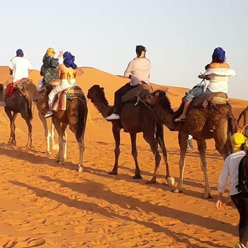 Enjoy Sahara Camp