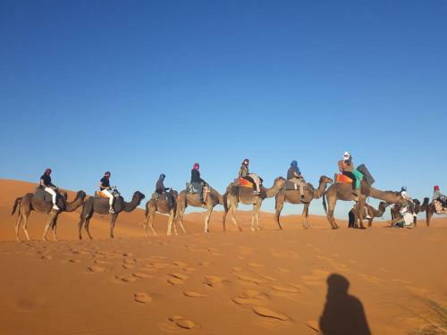 Enjoy Sahara Camp