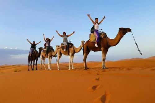 Enjoy Sahara Camp