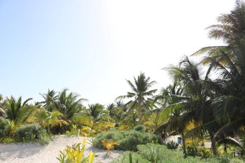 Hotel & Caba�as Zazil Kin Tulum