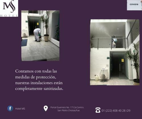 Hotel Ms