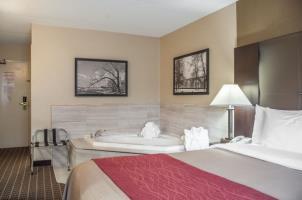 Hotel Comfort Inn  Suites