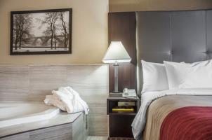 Hotel Comfort Inn  Suites