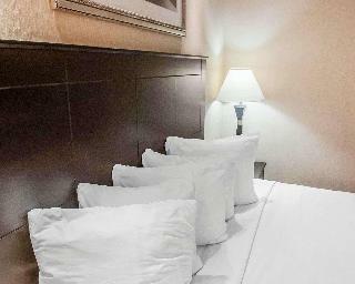 Hotel Econo Lodge Inn & Suites Downtown