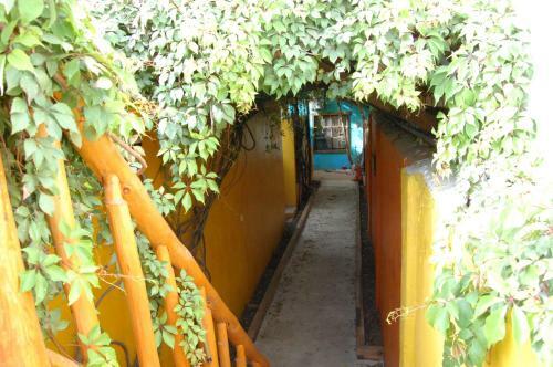 Hostal Leo's Baja Oasis