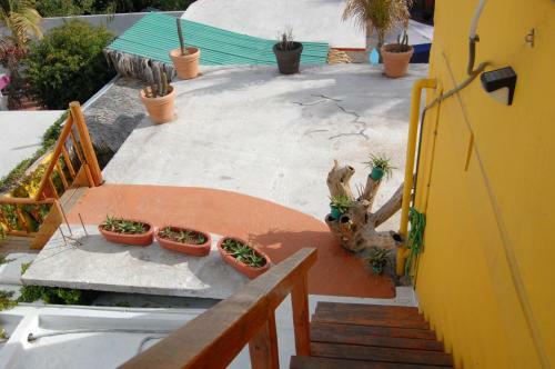 Hostal Leo's Baja Oasis