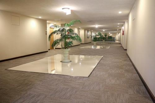 Hotel Hampton Inn Tampico Zona Dorada