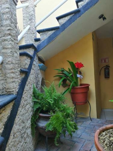 Hotel Chely