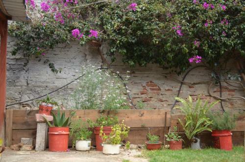 Hostal El Rinc�n De Los Camellos