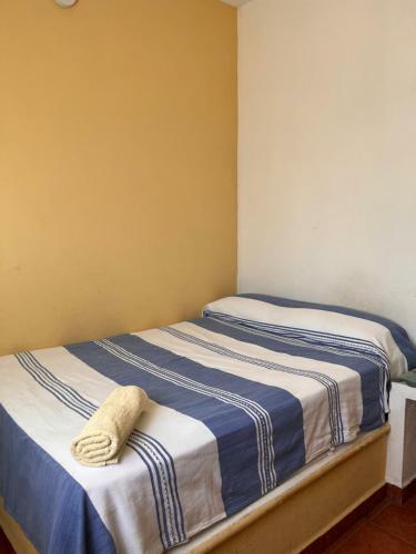 Hotel Casa Terranova