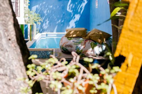 Vainilla Bed An Breakfast Mexico