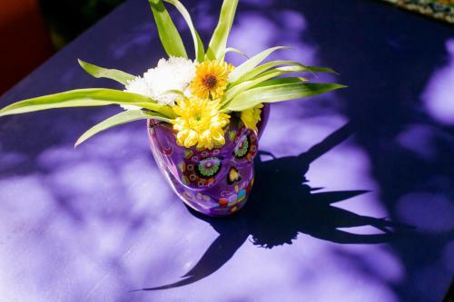 Vainilla Bed An Breakfast Mexico