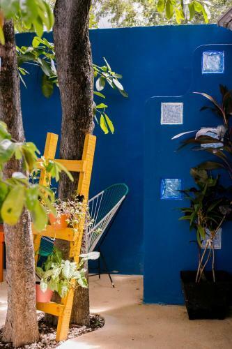 Vainilla Bed An Breakfast Mexico