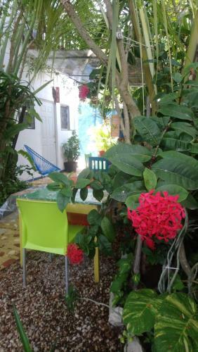 Vainilla Bed An Breakfast Mexico