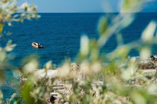 Open Sea Luxury Apartments